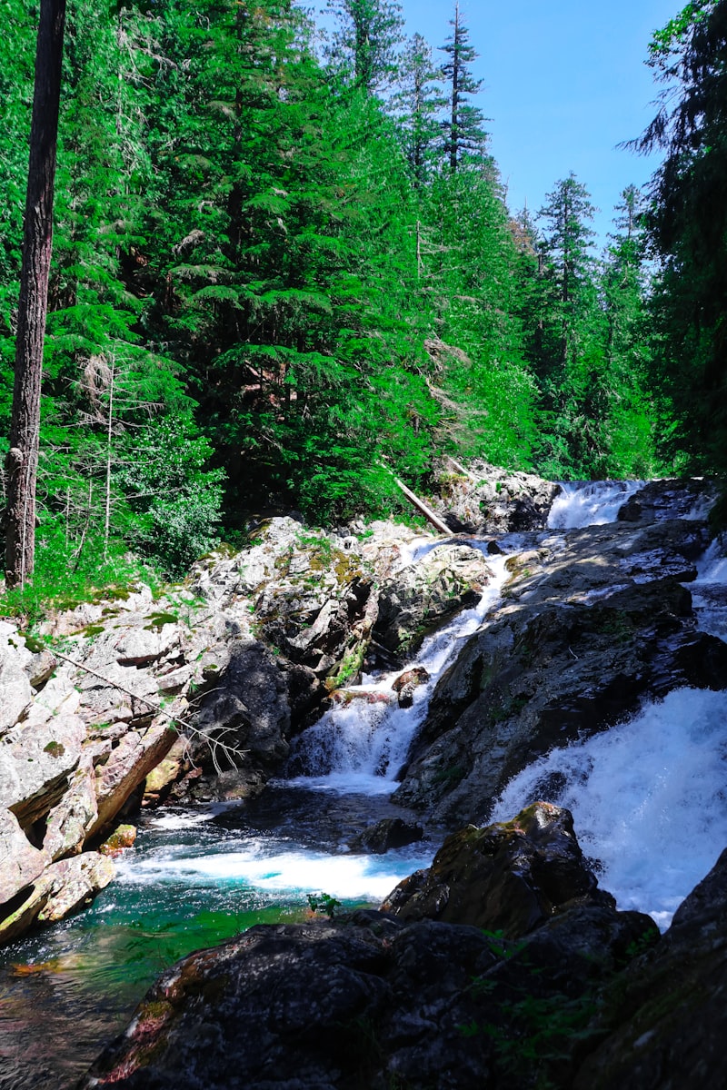 Waterfall cascading through a lush forest canyon on the River Canyon Trail